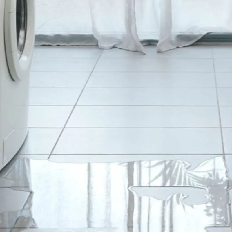 Appliance Leak Cleanup in Eagle, ID