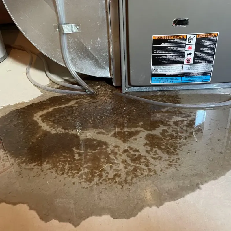 Pipe Burst and Leak Restoration in Eagle, ID